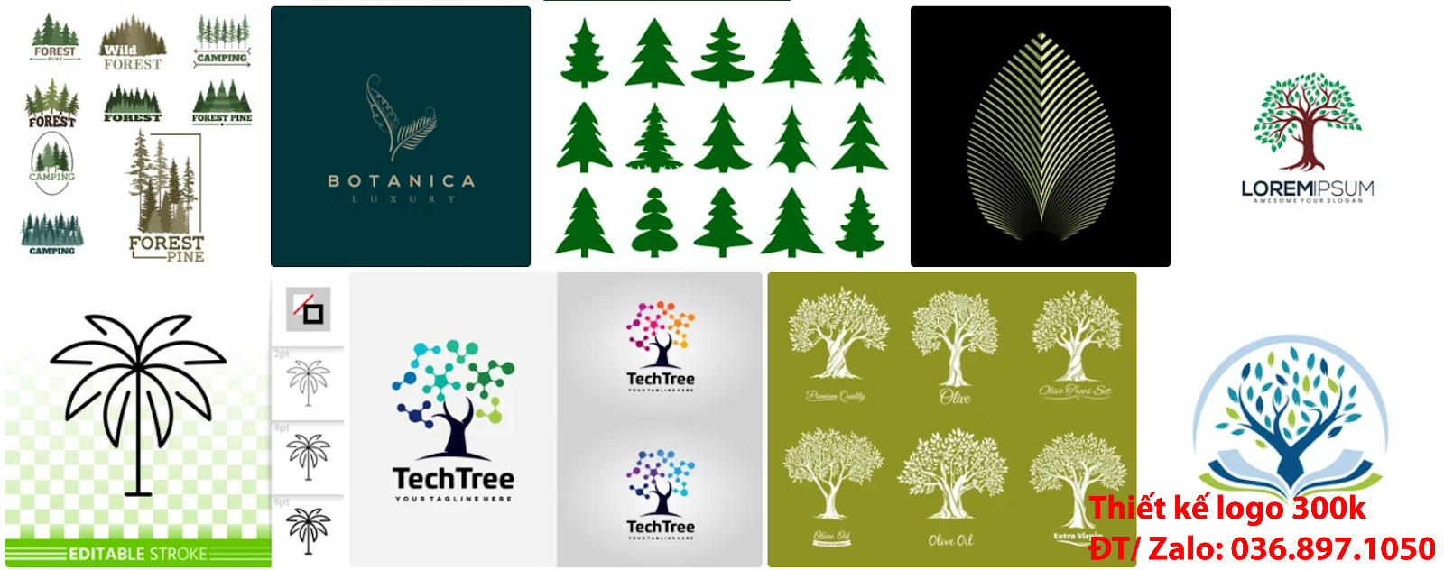 Công ty cung cấp dịch vụ mẫu logo cây xanh chuyên nghiệp giá rẻ 300k - 500k chất lượng