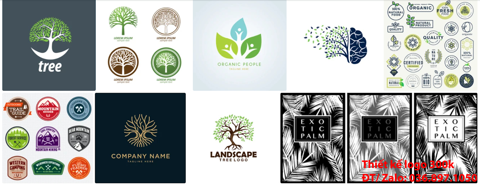 Công ty cung cấp dịch vụ mẫu logo cây xanh chuyên nghiệp giá rẻ 300k -500k tại Hà Nội