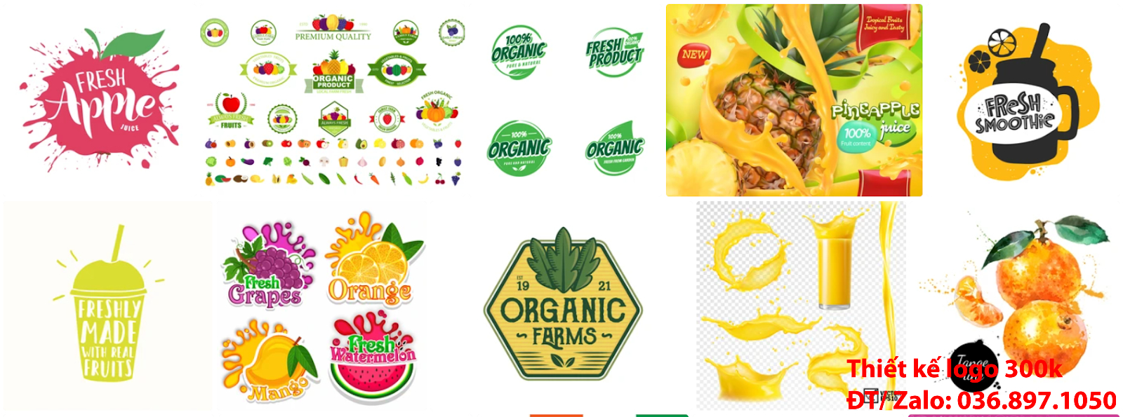 Công ty cung cấp dịch vụ Tạo logo trái cây sang trọng khác biệt đẹp chuyên nghiệp giá rẻ