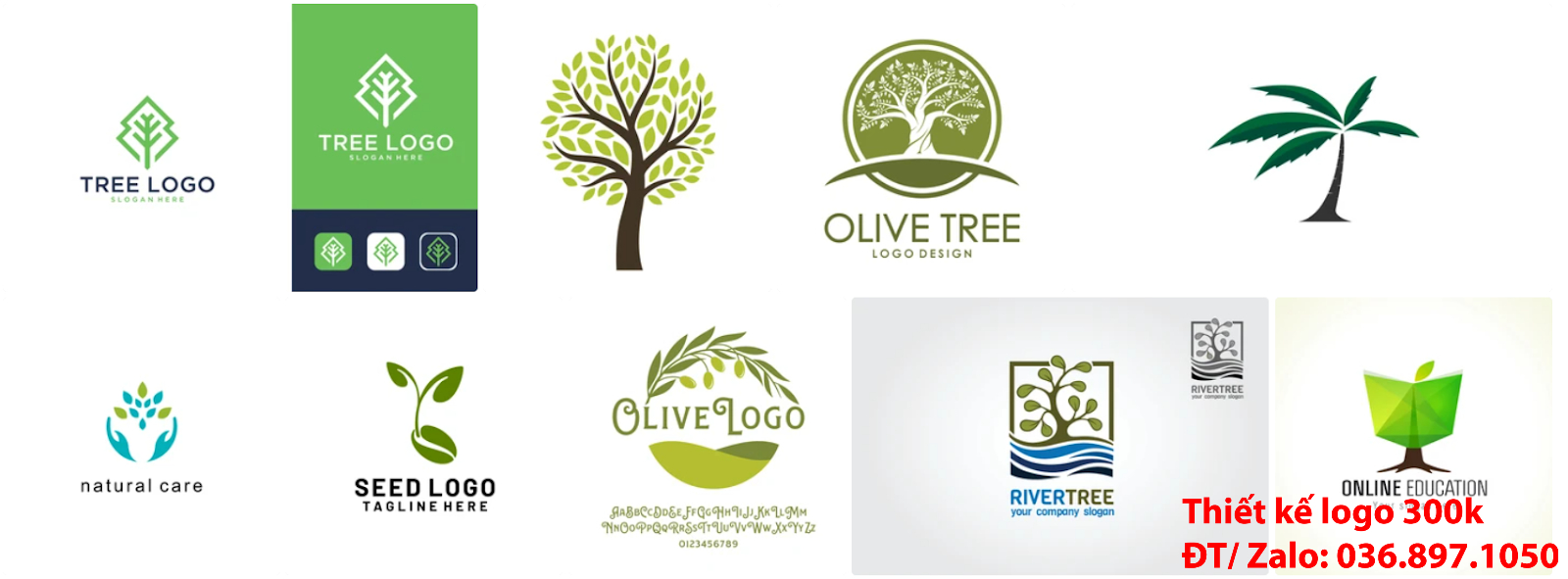 Công ty làm Mẫu logo cây xanh đẹp miễn phí có hỗ trợ dịch vụ làm lô gô online giá rẻ 300k - 500k uy tín