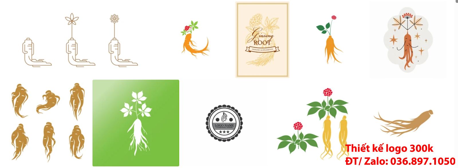 Công ty nhận làm các Mẫu Thiết Kế Logo nhân sâm đẹp giá rẻ chất lượng tại Tp Hồ Chí Minh
