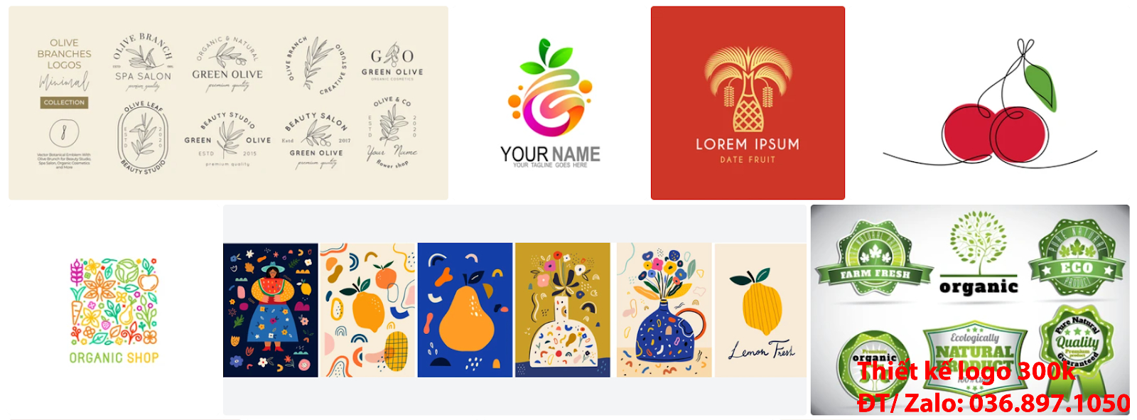 Công ty nhận tạo Ý nghĩa logo trái cây độc đáo giá rẻ 300k đẹp chất lượng