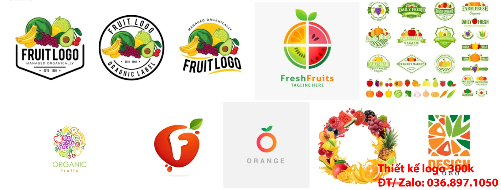 Công ty nhận thiết kế lô gô online giá rẻ chất lượng tại Tp Hồ Chí Minh về chủ đề Mẫu logo trái cây