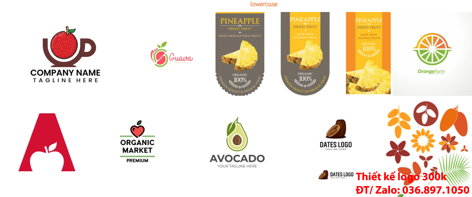 Dịch vụ có nhận làm các Mẫu thiết kế Logo trái cây đẹp nhất hiện nay uy tín giá rẻ 300k - 500k
