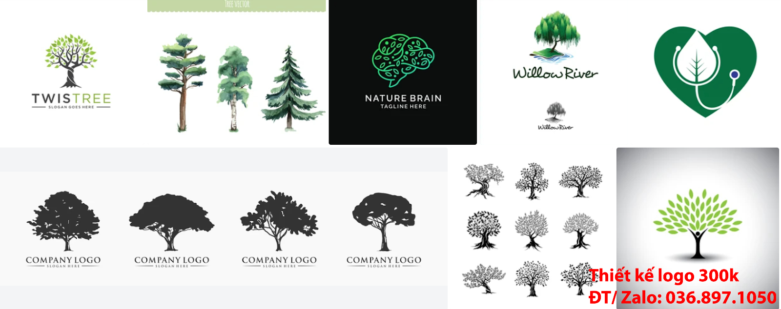 Dịch vụ có nhận làm lô gô với Ý nghĩa logo cây xanh độc đáo online giá rẻ đẹp chuyên nghiệp chất lượng 300k - 500k