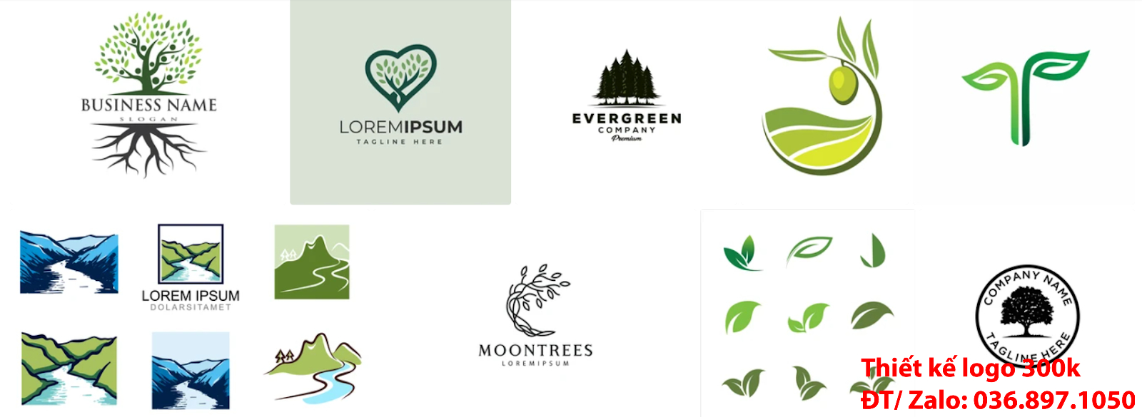 Dịch vụ mẫu logo cây xanh chuyên nghiệp đẹp online uy tín giá 300k