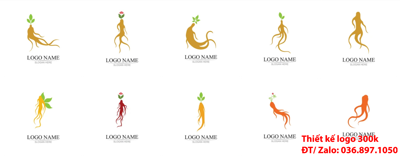 Dịch vụ Thiết kế logo nhân sâm chuyên nghiệp online tại Hà Nội uy tín giá rẻ