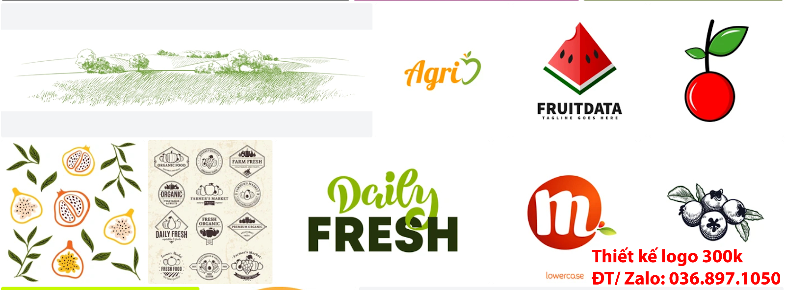 Đơn vị chuyên tạo lô gô cho các công ty tại Hà Nội giá rẻ có Mẫu logo trái cây đẹp miễn phí