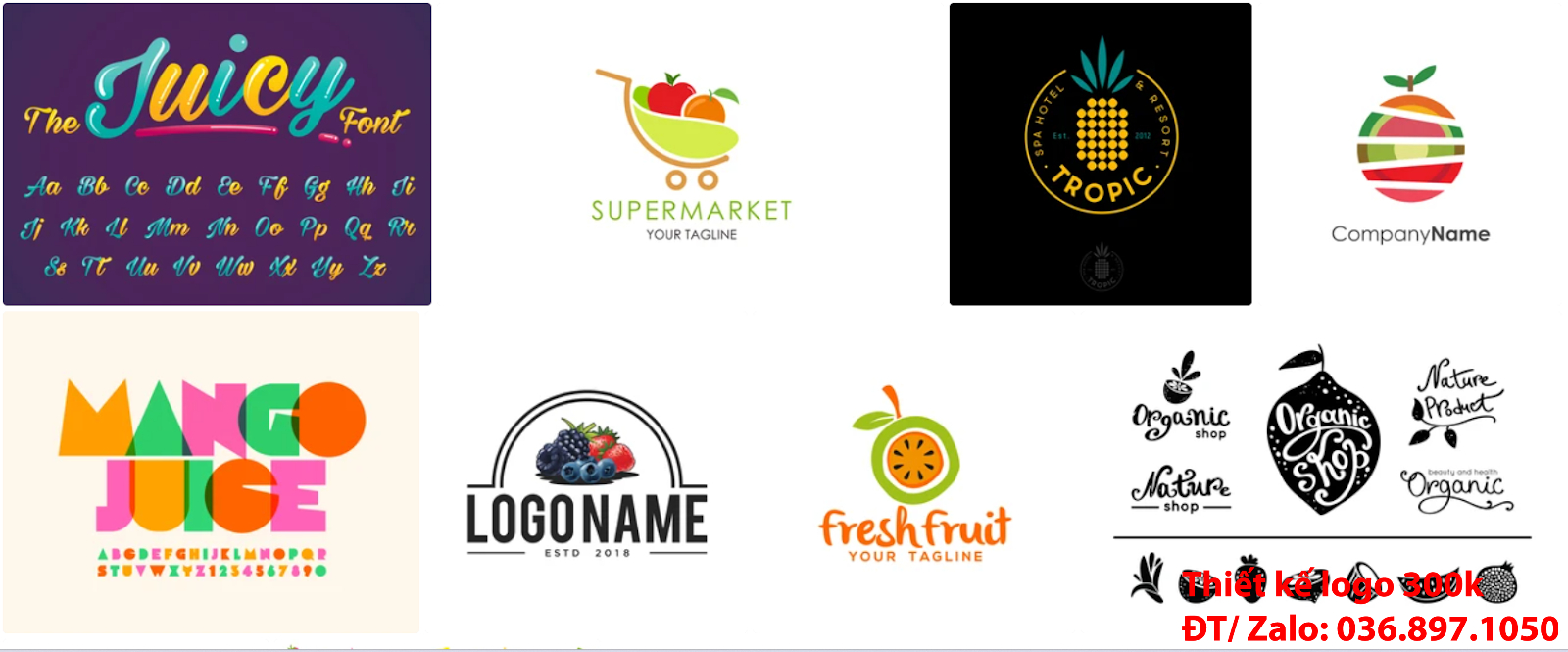 Đơn vị có nhận thiết kế lô gô online giá rẻ chất lượng cao về các Mẫu logo trái cây chuyên nghiệp 500k