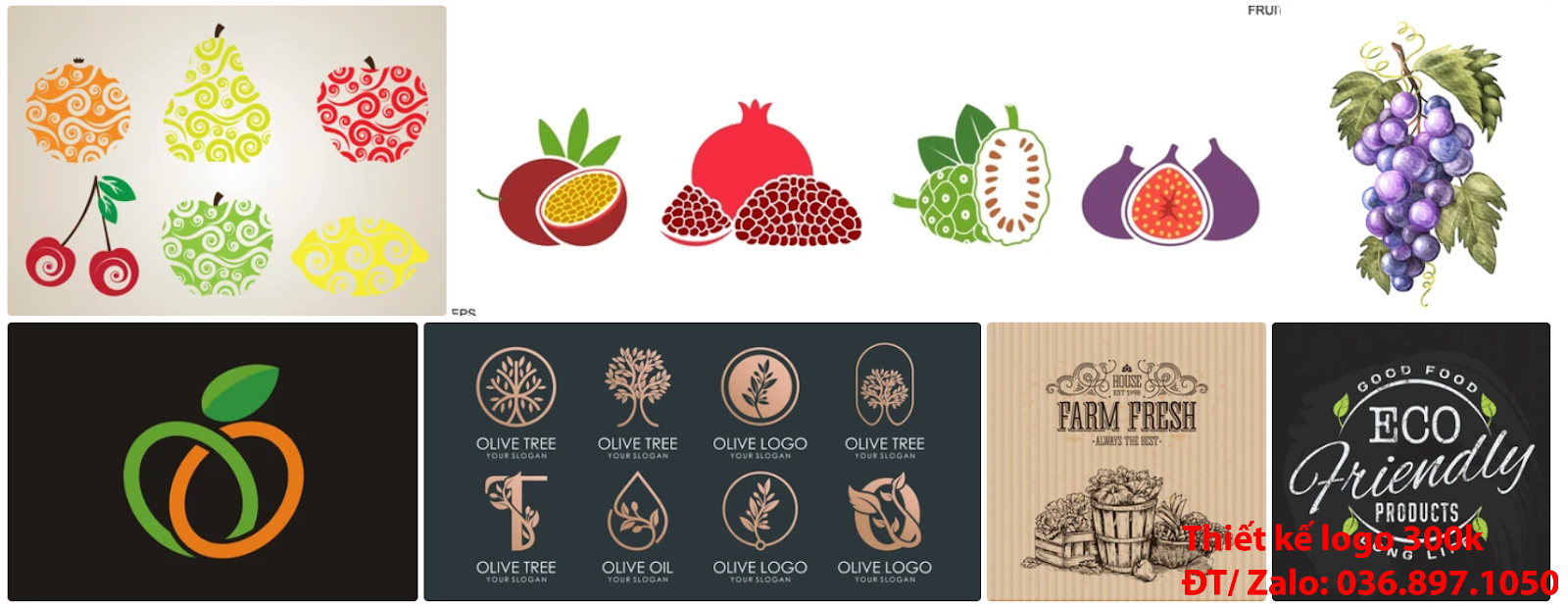 Đơn vị cung cấp dịch vụ làm Mẫu logo trái cây đơn giản tinh tế đẹp giá rẻ 300k - 500k uy tín chất lượng