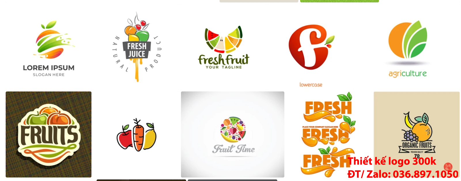 Đơn vị cung cấp dịch vụ tạo Mẫu logo trái cây giá rẻ chất lượng từ 300k đến 500k