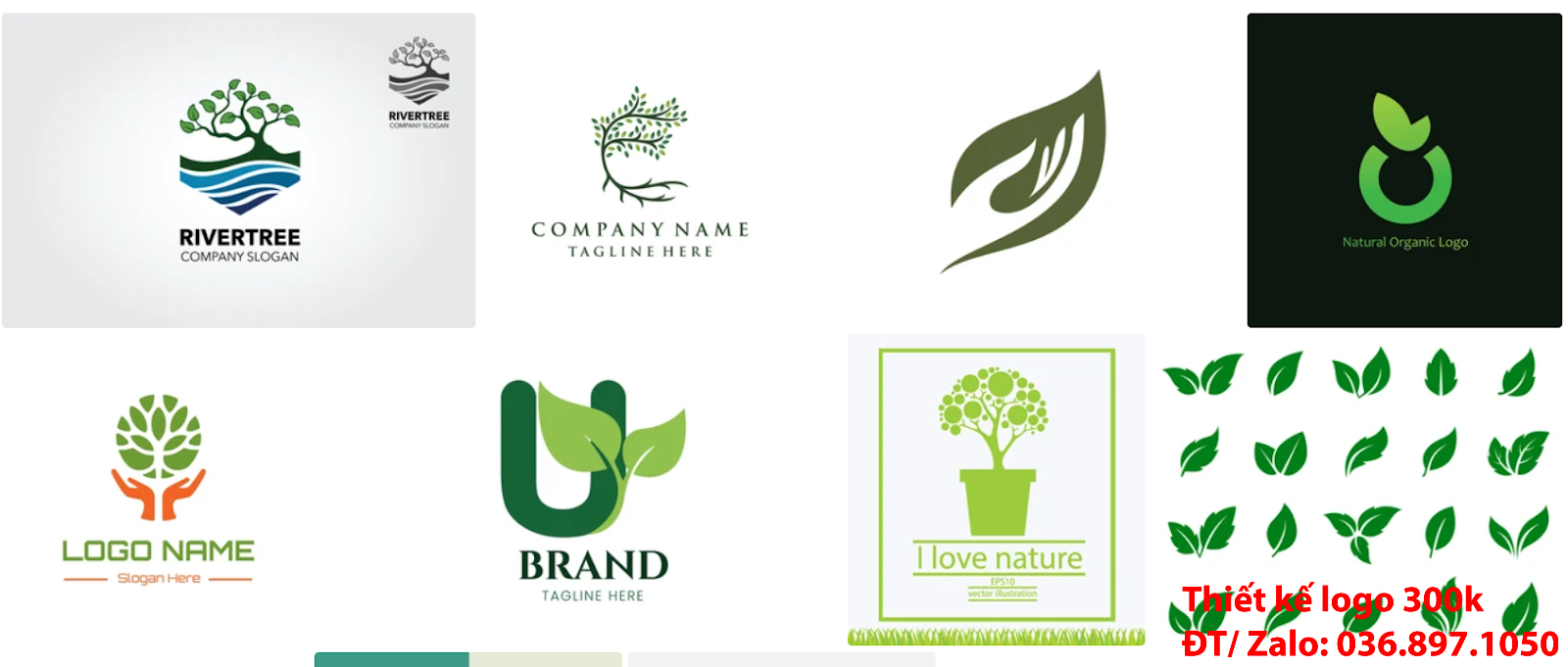 Đơn vị làm lô gô chuyên nghiệp về chủ đề tạo Ý nghĩa logo cây xanh độc đáo