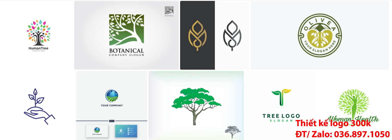 Đơn vị làm lô gô online chuyên nghiệp tại Tp Hồ Chí Minh chuyên tạo Ý nghĩa logo cây xanh độc đáo