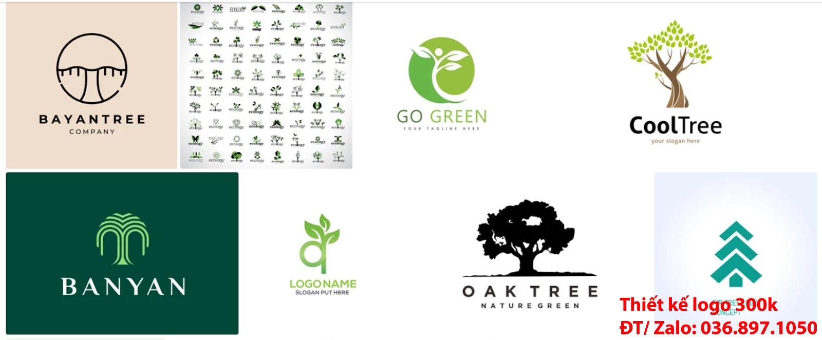 Đơn vị Tạo logo cây xanh sang trọng khác biệt giá rẻ 300k - 500k đẹp chất lượng