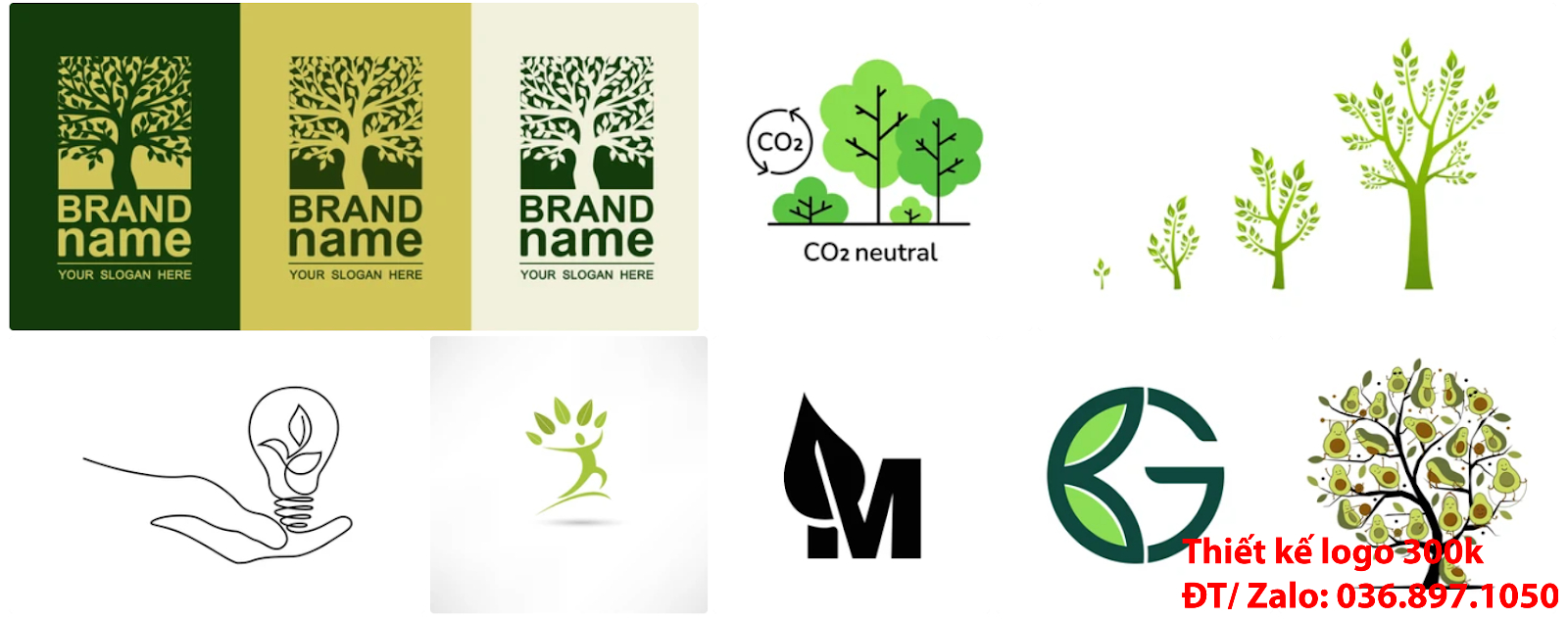 mẫu logo cây xanh chuyên nghiệp chất lượng giá 500k tại Sài Gòn