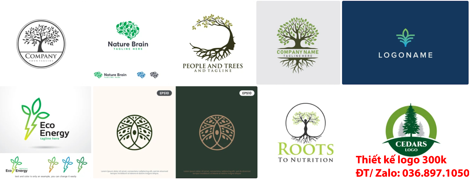mẫu logo cây xanh chuyên nghiệp giá rẻ đẹp chất lượng uy tín tại Hà Nội