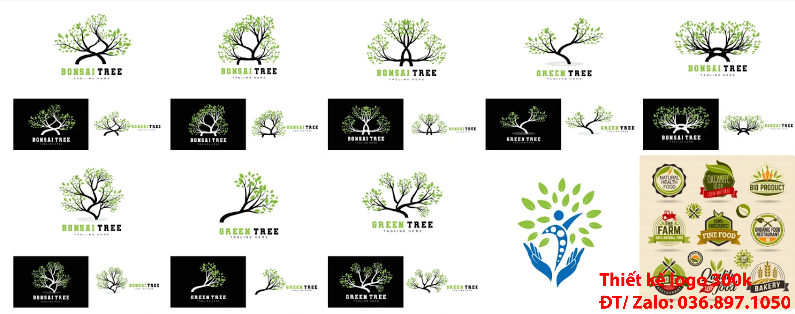 Mẫu logo cây xanh đẹp miễn phí chất lượng cao, uy tín và chuyên nghiệp