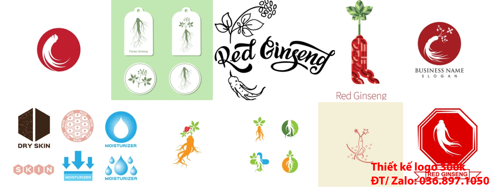 Mẫu logo đẹp nhân sâm sáng tạo được thiết kế bởi công ty tạo lô gô online tại Sài Gòn