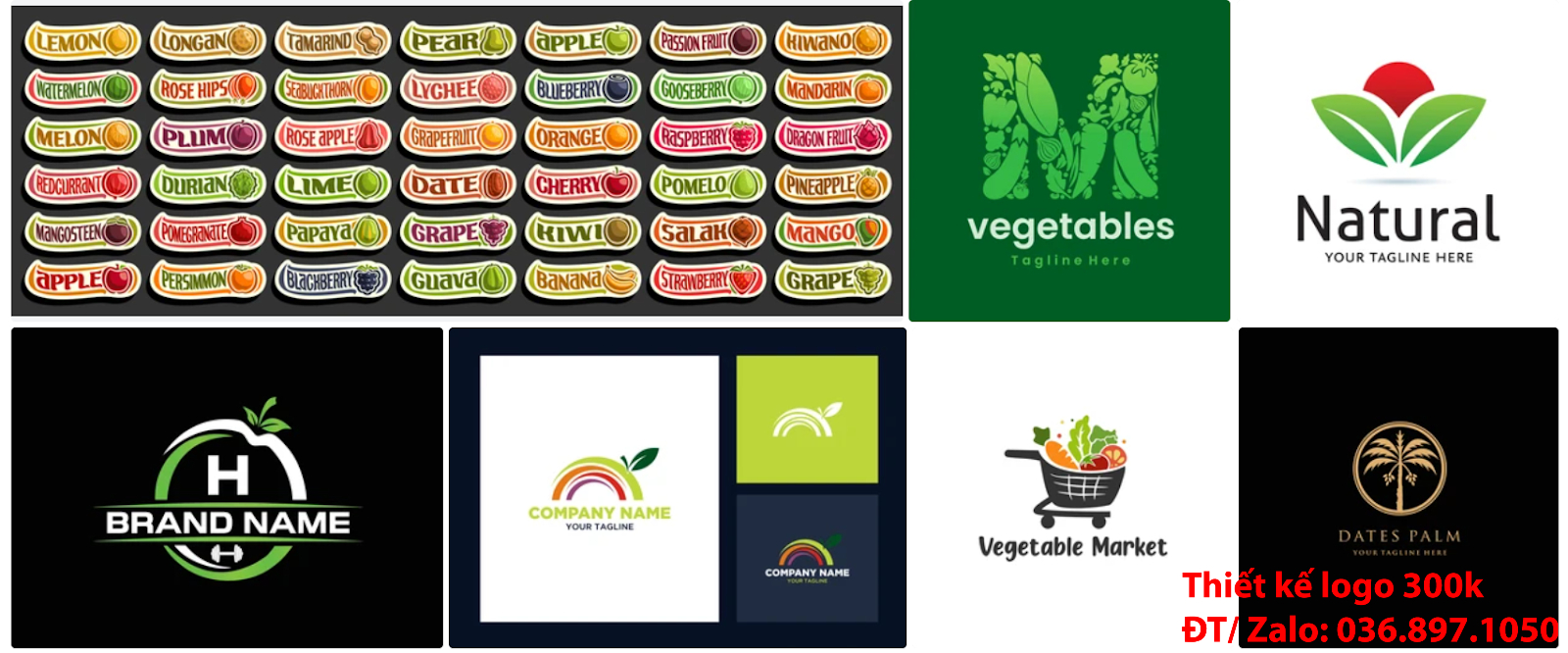 Mẫu logo đẹp trái cây sáng tạo giá rẻ được thiết kế bởi công ty tạo lô gô online tại Sài Gòn