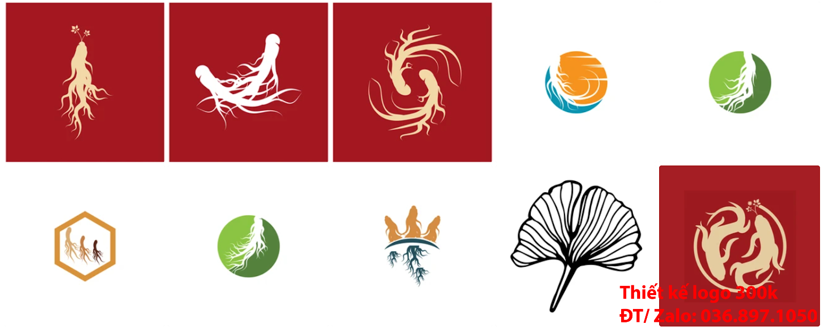 Mẫu logo nhân sâm đẹp miễn phí online chuyên nghiệp và uy tín tại công ty thiết kế lô gô giá rẻ Hà Nội