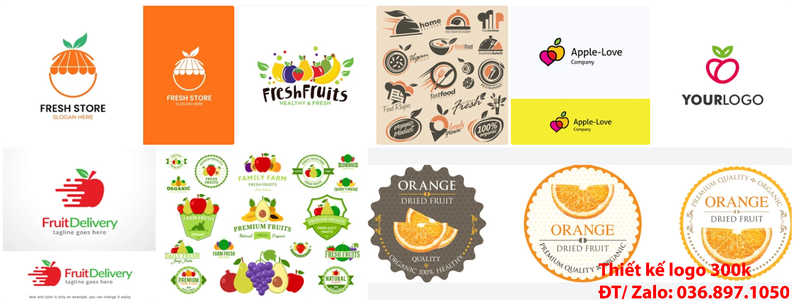 Mẫu Thiết Kế Logo trái cây đẹp giá rẻ ở Hà Nội từ 300k đến 500k uy tín chất lượng cao