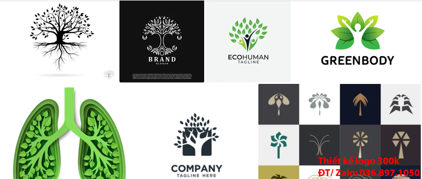 Nhận làm Mẫu logo cây xanh đơn giản tinh tế online chất lượng với giá rẻ từ 300k tại Hà Nội
