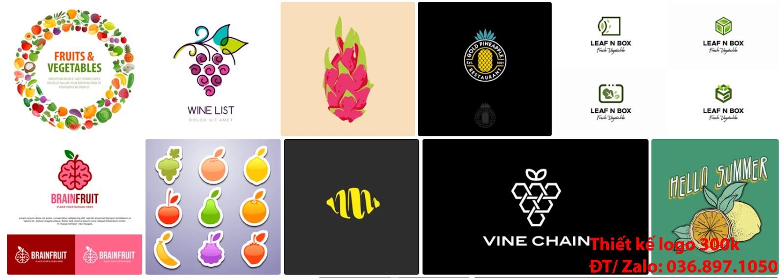 Nhận tạo Mẫu logo trái cây đẹp miễn phí online cho các công ty tại khu vực TpHCM chuyên nghiệp uy tín nhất