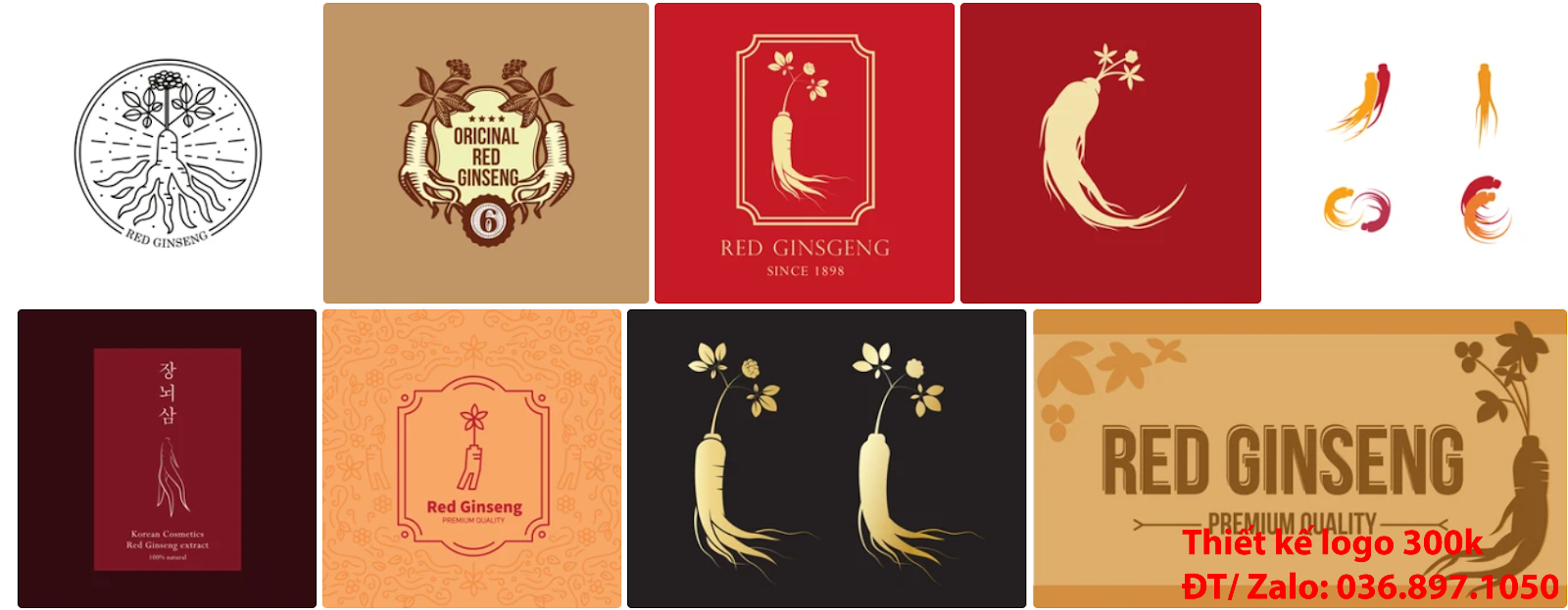 Tại Hà Nội cũng có công ty nhận thiết kế các Mẫu logo nhân sâm đẹp online uy tín chất lượng giá 300k