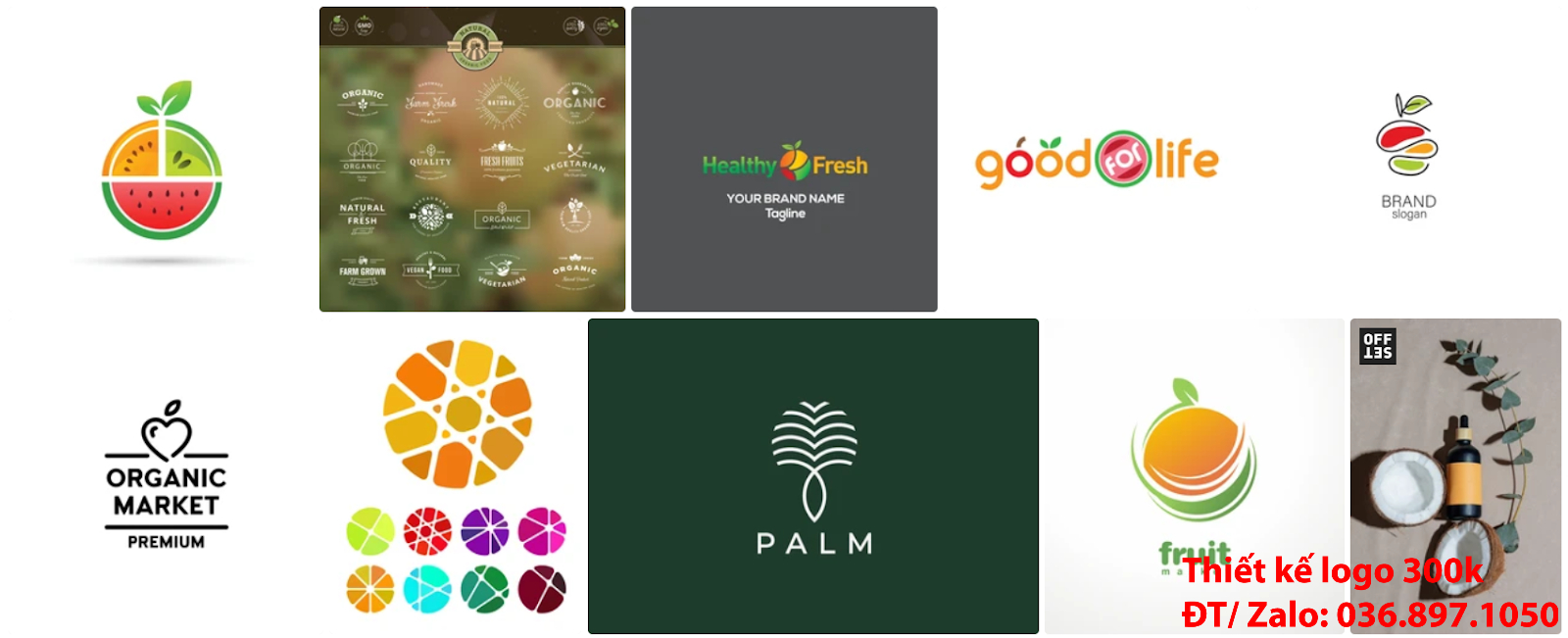 Tại Sài Gòn có dịch vụ chuyên nhận thiết kế Mẫu logo trái cây chuyên nghiệp chất lượng giá rẻ chỉ từ 300k