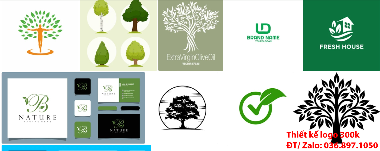Tại Tp Hồ Chí Minh có dịch vụ nhận mẫu logo cây xanh chuyên nghiệp đẹp giá rẻ