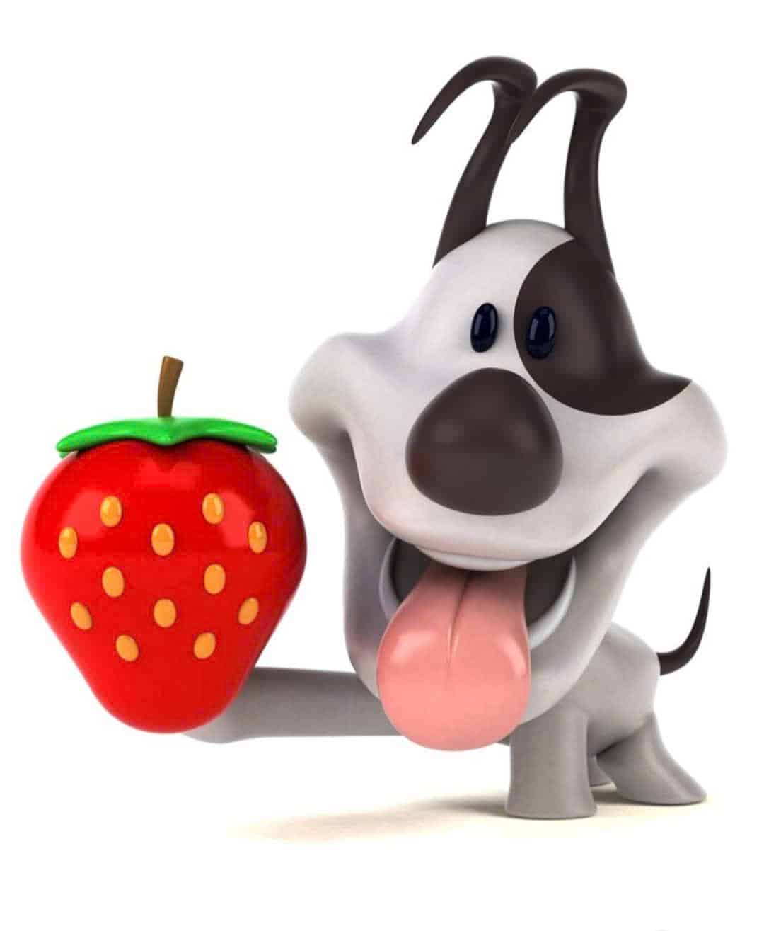 Cún chibi ăn trái cây