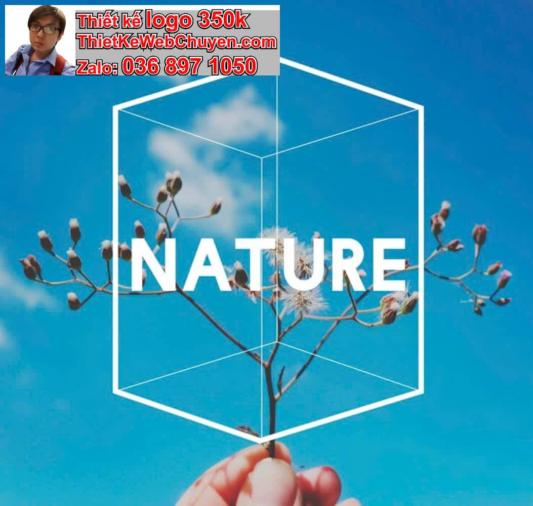 Quy định sử dụng logo miễn phí trên nền màu hình ảnh