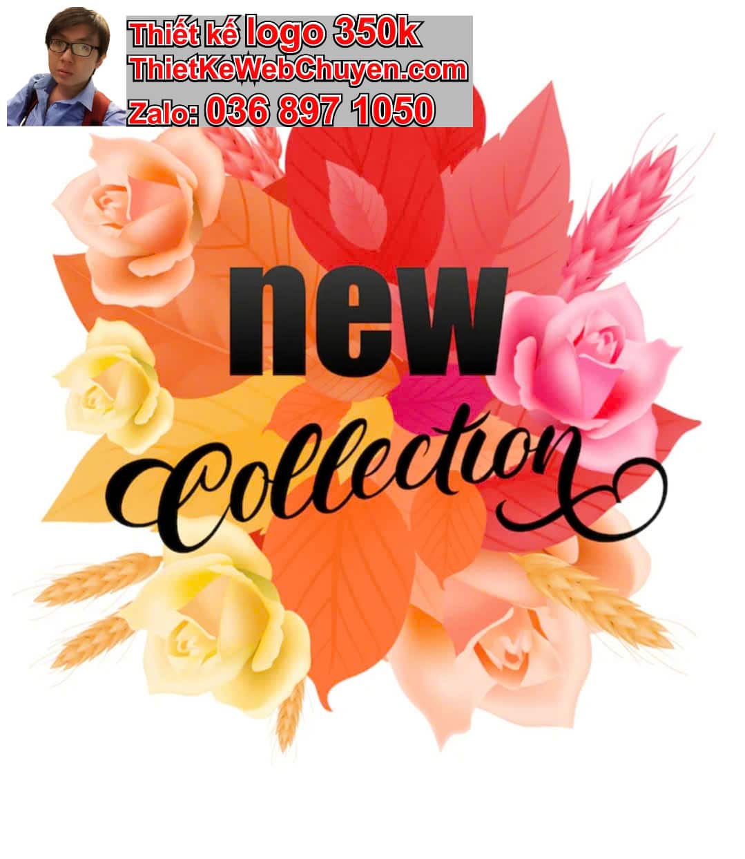 Thiết kế logo miễn phí bao nhiêu concept bao nhiêu lần sửa logo