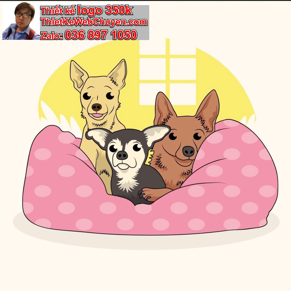 Cún Chibi Ngồi Trên Giường