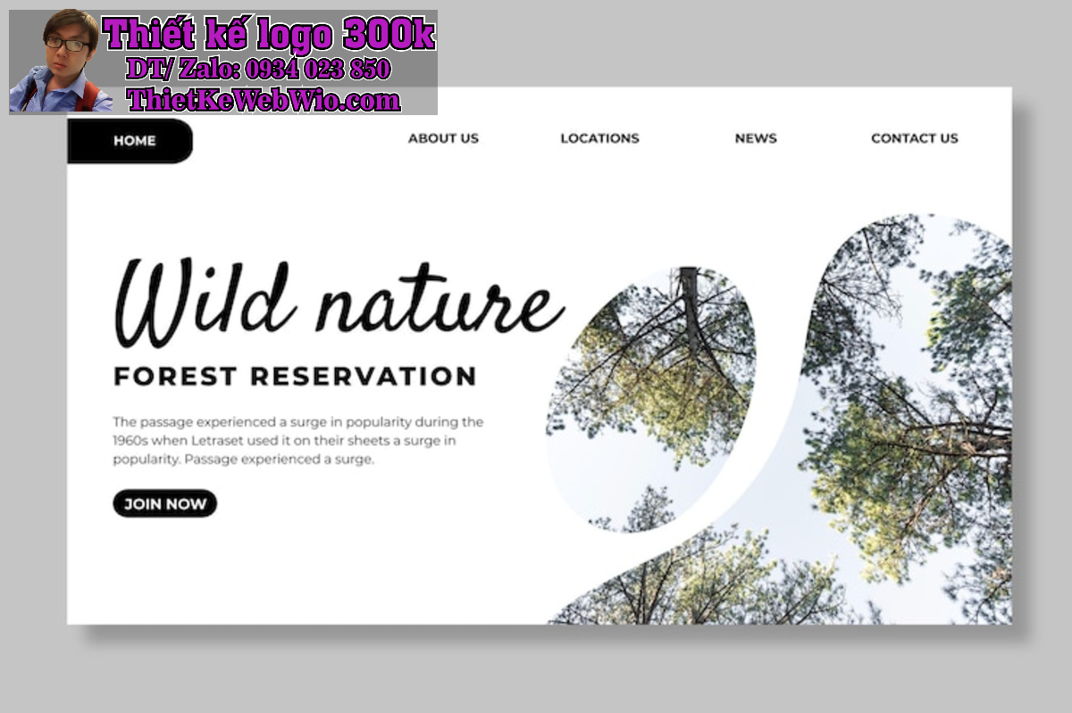 Các Bài Học Rút Ra Từ Những Website WordPress Thất Bại