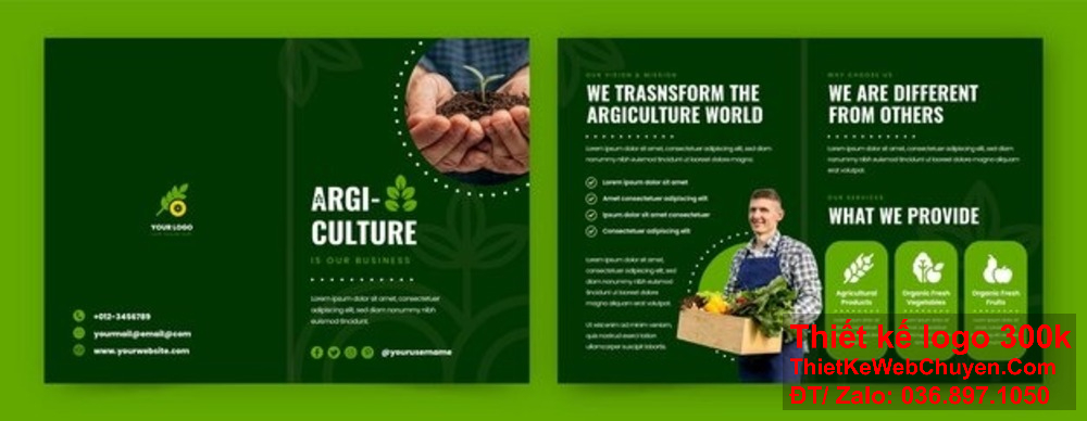 So sánh giữa các đơn vị thiết kế công ty catalogue tại Hà Nội. Xu hướng thiết kế công ty catalogue tại Hà Nội năm nay.