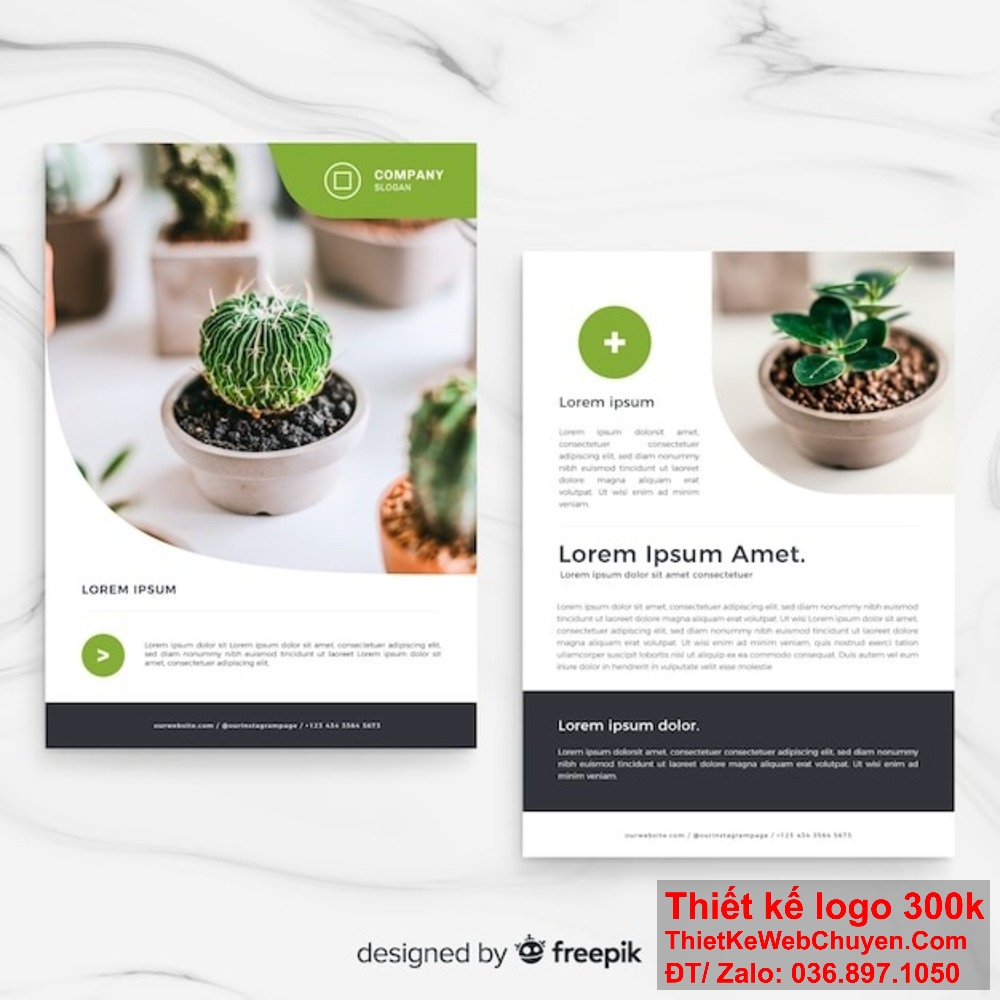 Top 10 công ty thiết kế công ty catalogue tại Hà Nội đáng tin cậy. Đơn vị thiết kế công ty catalogue tại Hà Nội nào có giá thành hợp lý?