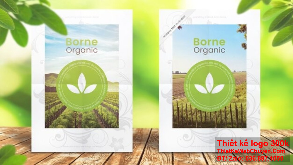 Thiết kế công ty catalogue tại Đà Nẵng giúp truyền tải thông điệp hiệu quả. Thiết kế công ty catalogue tại Đà Nẵng đảm bảo tính thẩm mỹ cao.