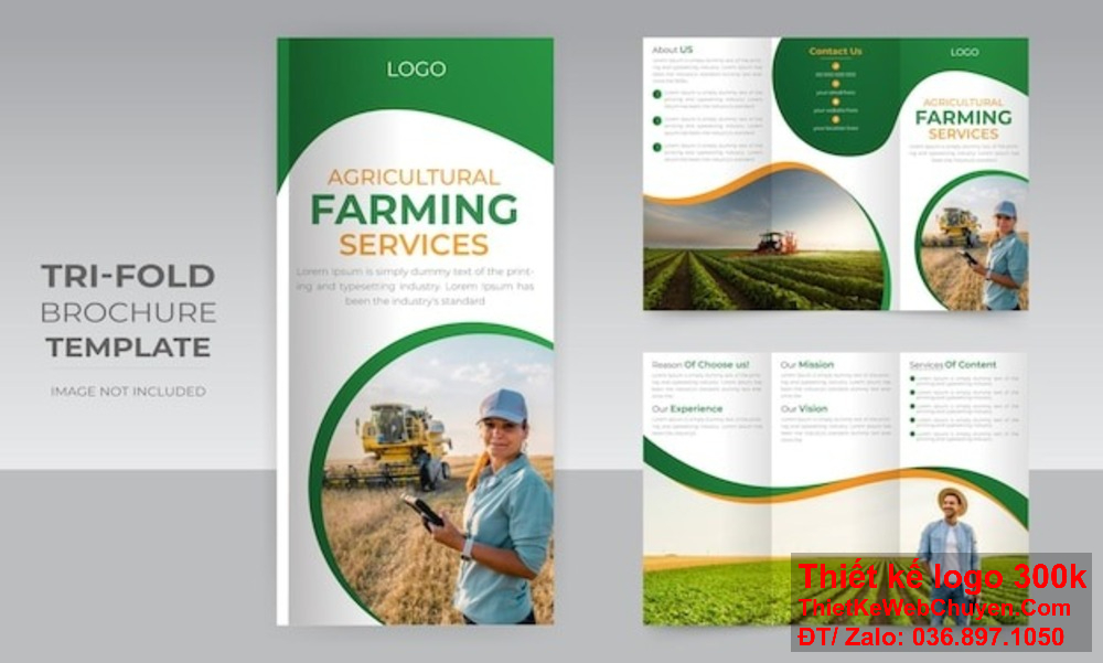 Thiết kế công ty catalogue tại Đà Nẵng với chi phí hợp lý. Thiết kế công ty catalogue tại Đà Nẵng giúp thu hút khách hàng.