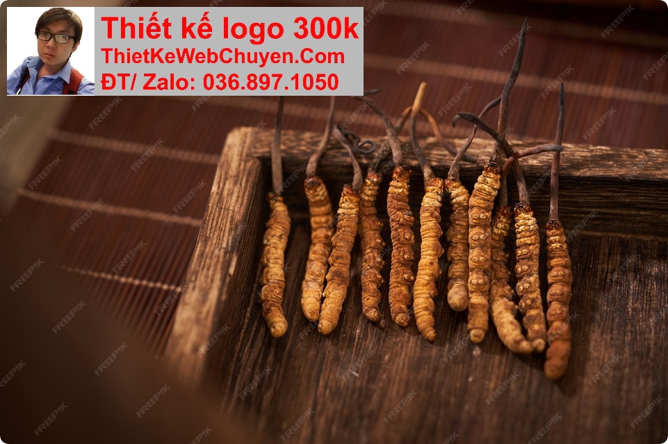 Nâng cấp web bán ĐÔNG TRÙNG HẠ THẢO Nâng cấp web bán ĐÔNG TRÙNG HẠ THẢO