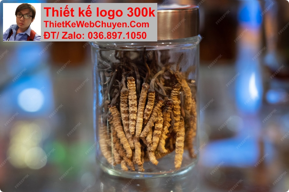 Nâng cấp web bán ĐÔNG TRÙNG HẠ THẢO Nâng cấp web bán ĐÔNG TRÙNG HẠ THẢO