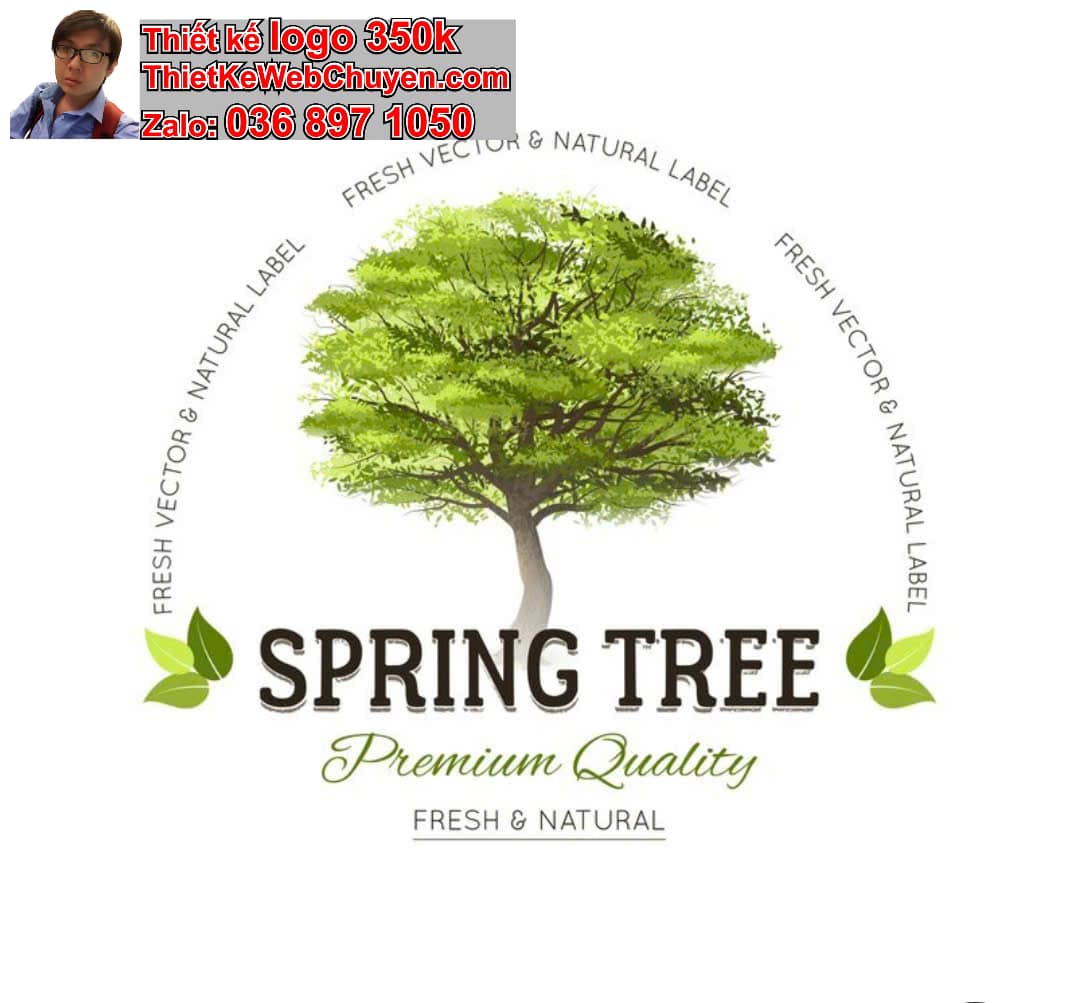 Sai lầm khi thiết kế logo online 