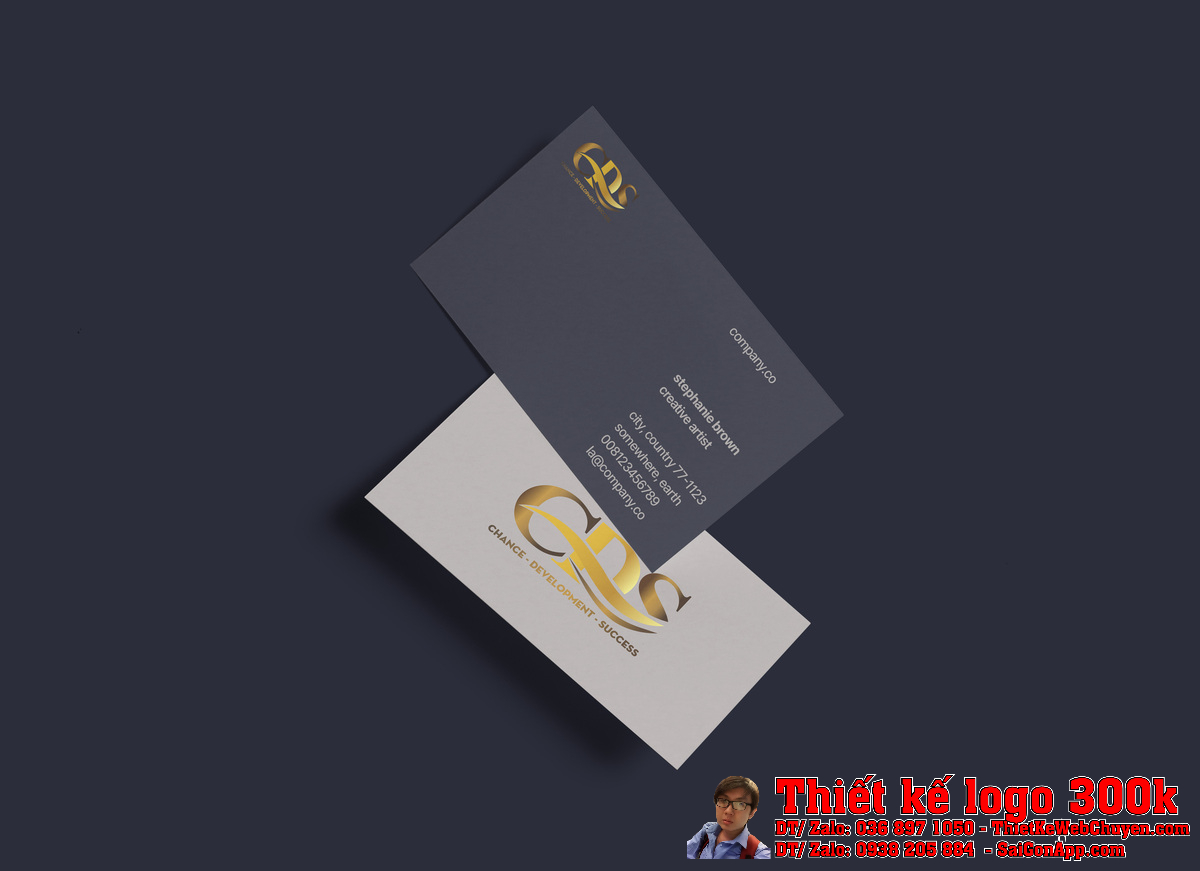 Thiết Kế Logo Công Ty TNHH Tư Vấn Đầu Tư Xây Dựng Tân Đại Phong - Phối cảnh 3