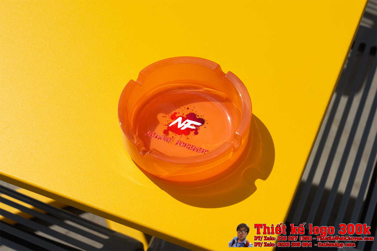 Thiết Kế Logo Newbie Forever Demo 6