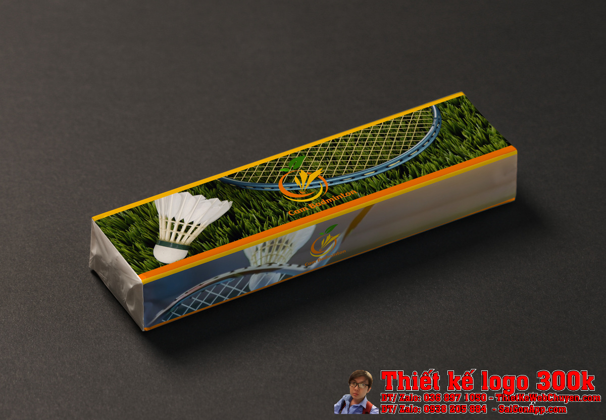 Phối cảnh Thiết kế logo Cam Badminton