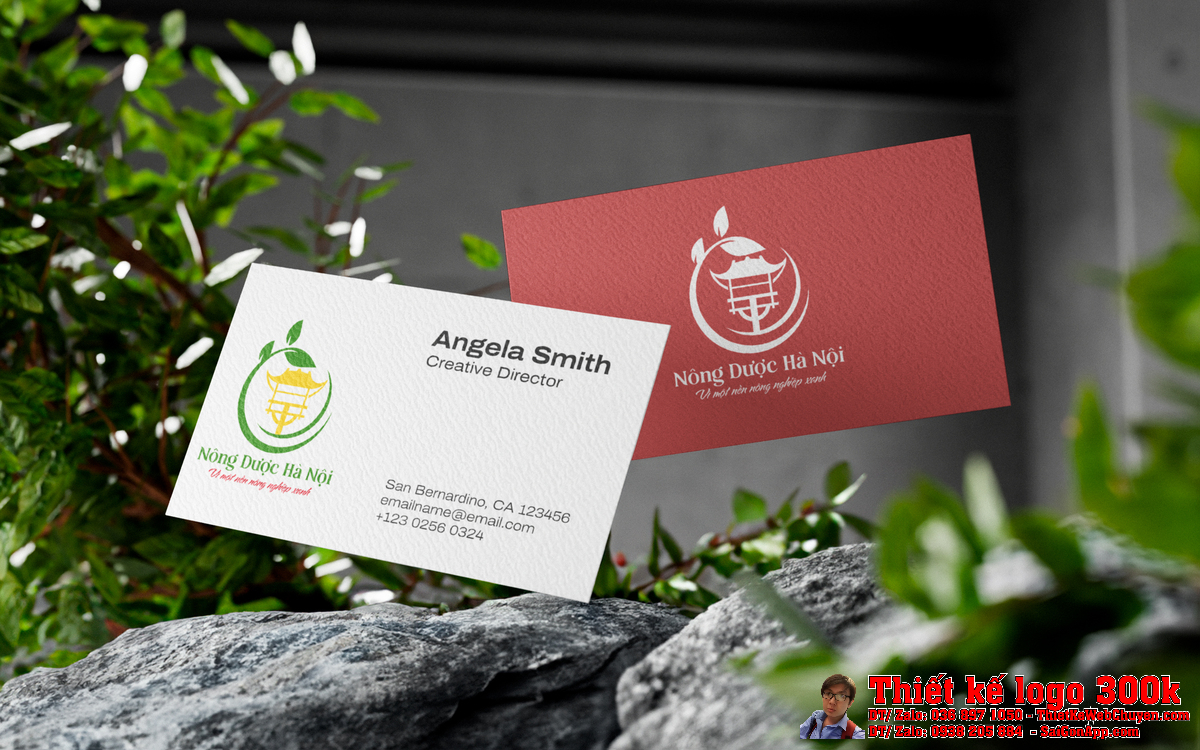 Thiết kế logo Công ty Cổ phần Nông Dược Hà Nội - Ứng dụng văn phòng