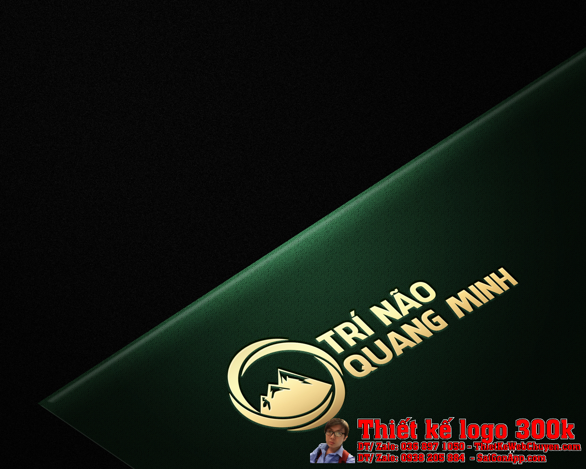 Phối cảnh Thiết kế logo Công ty TNHH Tư Vấn Kế Toán Thuế Trí Não Quang Minh