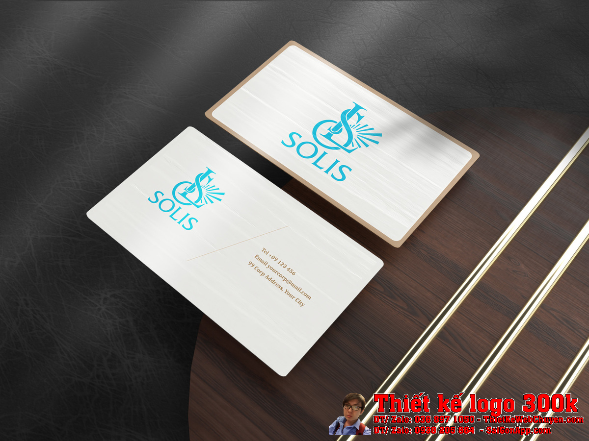 Cận cảnh Thiết kế logo Công ty cổ phần đầu tư SOLIS