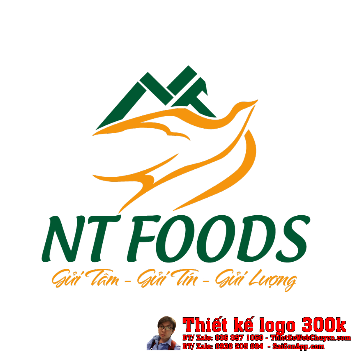 Mẫu Thiết kế logo Yến sào NT FOODS chuyên nghiệp và ấn tượng