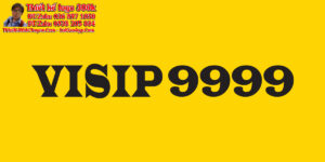 Thiết kế logo cơ khí VSIP